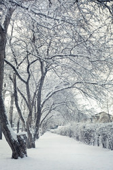 Similar image 497089