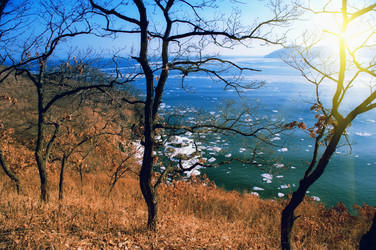 Similar image 497100