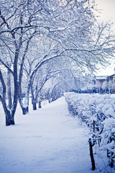 Similar image 497113