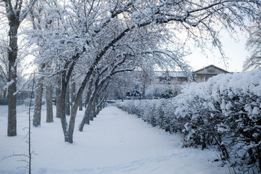 Similar image 497119