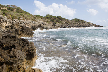 Similar image 497132