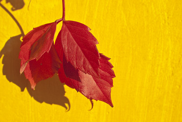 Similar image 497172