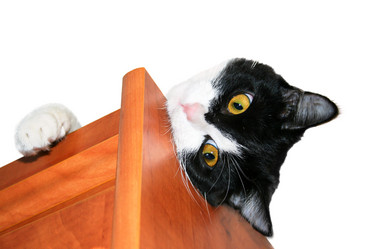 Similar image 497174