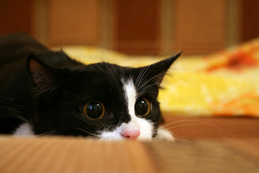 Similar image 497181