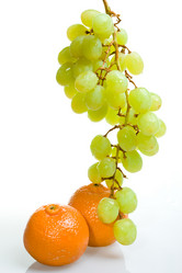 Similar image 497183