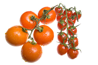 Similar image 497217