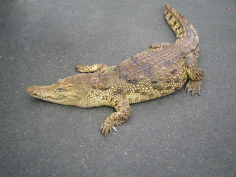 Similar image 497223