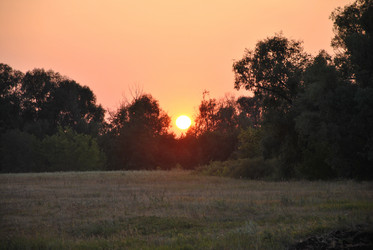 Similar image 497237