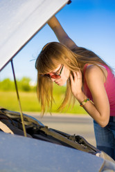 Similar image 497250