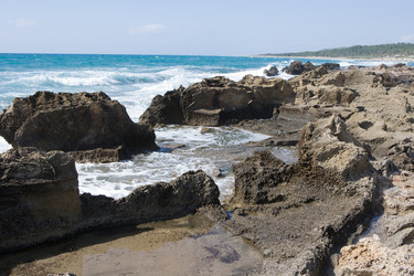 Similar image 497282