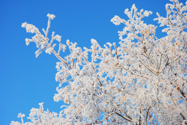 Similar image 497291