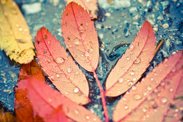 Similar image 497306