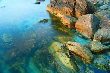 Similar image 497310