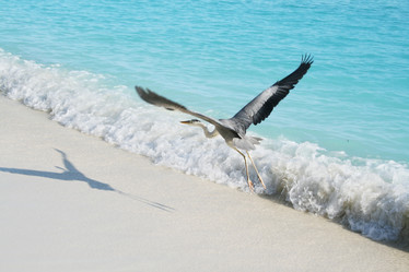 Similar image 497311