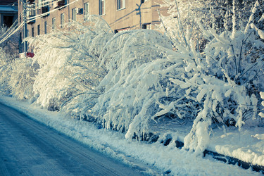 Similar image 497323