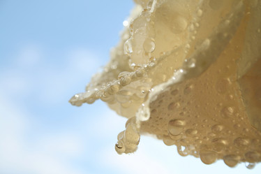 Similar image 497327