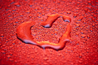 Similar image 497340