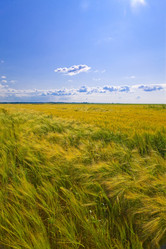 Similar image 497352