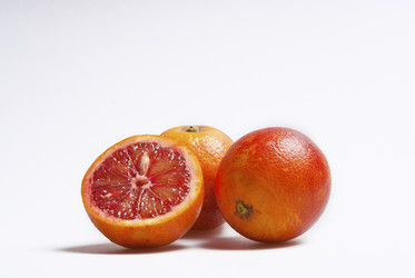 Similar image 497356