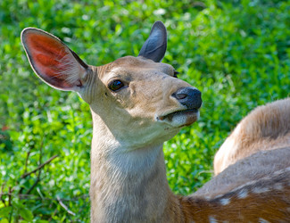 Similar image 497365