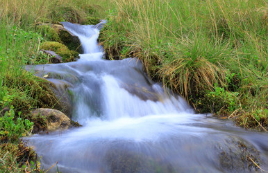 Similar image 497383