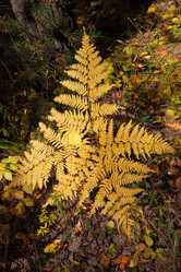 Similar image 497384