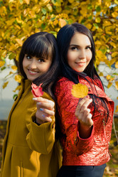 Similar image 497387