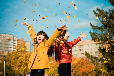 Similar image 497389