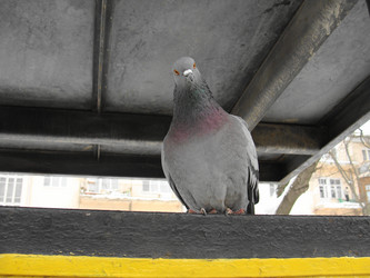 Similar image 497441