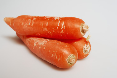 Similar image 497444