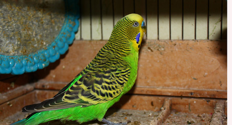 Similar image 497451