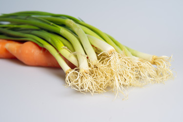 Similar image 497455