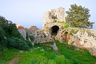 Similar image 497478