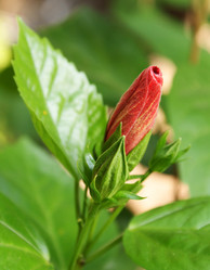 Similar image 497483