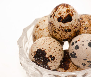 Similar image 497512