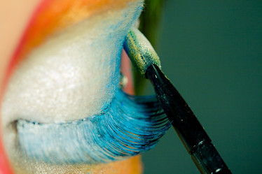 Similar image 497565