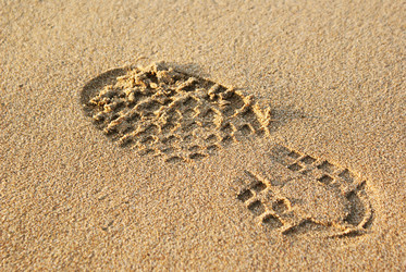 Similar image 497619