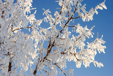 Similar image 497631