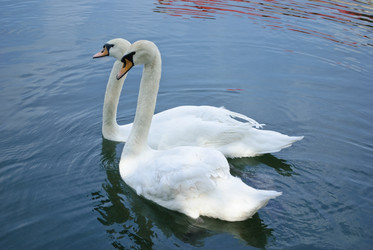 Similar image 497684