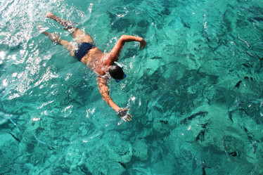 Similar image 497700