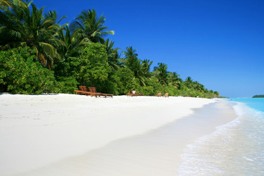 Similar image 497711