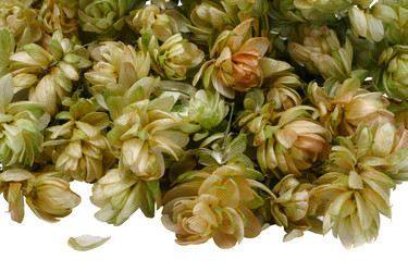 Similar image 497724