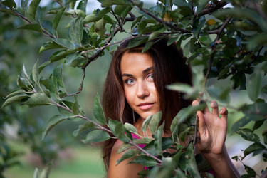 Similar image 497750