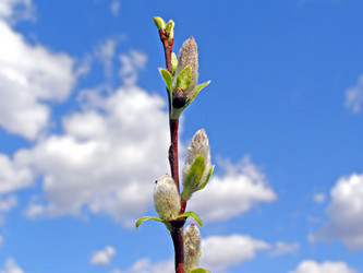 Similar image 497752