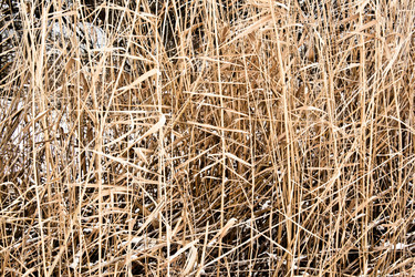 Similar image 497777