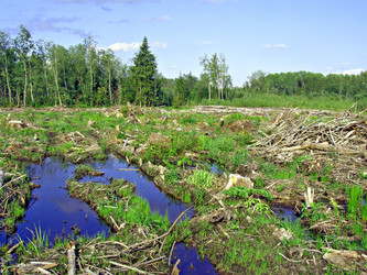 Similar image 497783