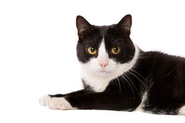 Similar image 497810