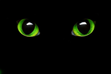 Similar image 497812