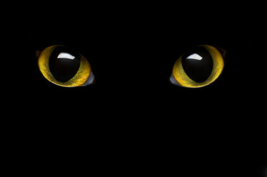 Similar image 497814