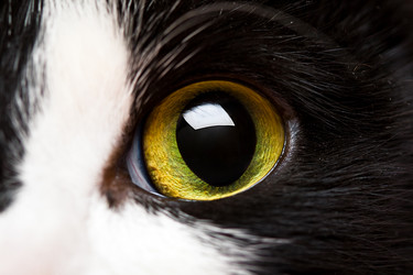 Similar image 497815